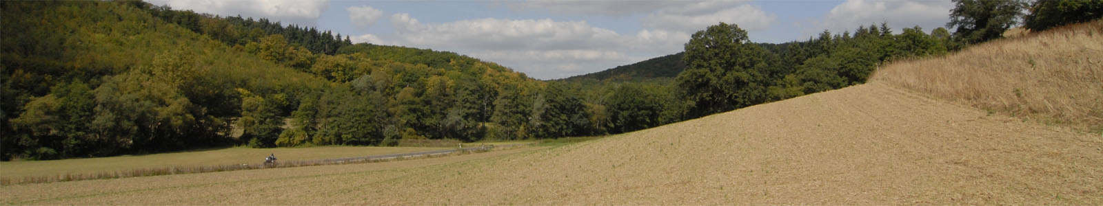 Getreidefeld mit Wald im Hintergrund ©DLR